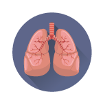 poumons-chiffrecles
